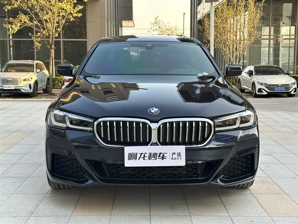 BMW 5 SERIES