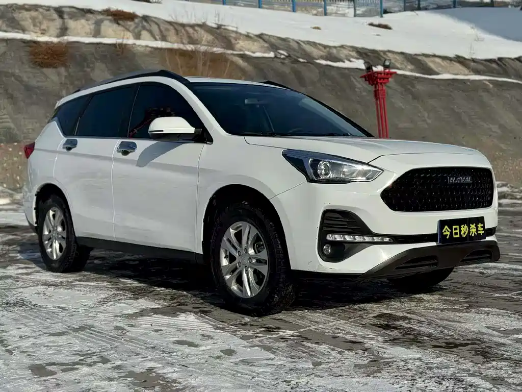 HAVAL M6