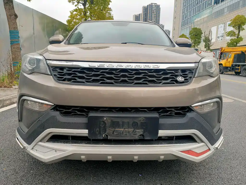 CHEETAH CARS CHEETAH CS10