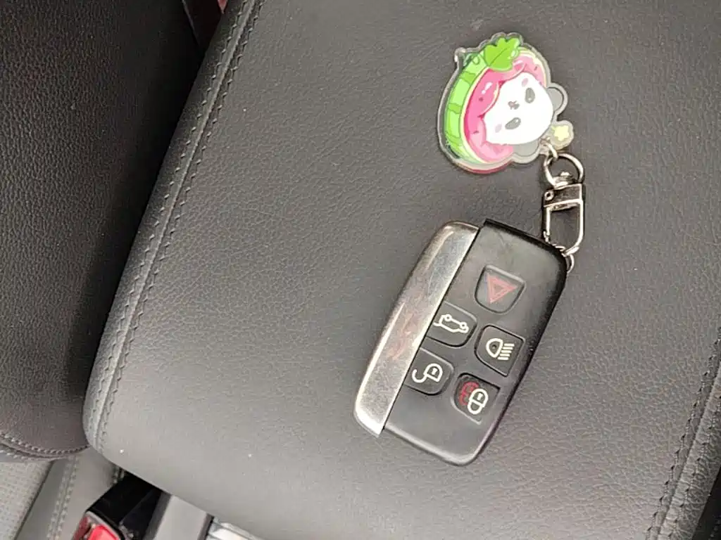 Land Rover Discovery Sport — миниатюра 9