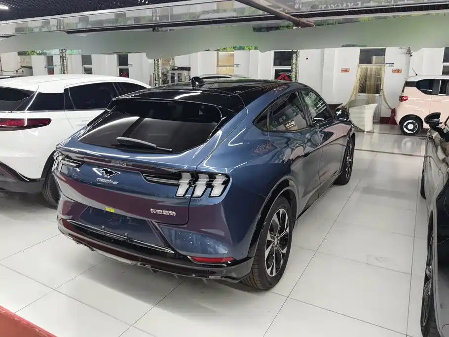 Ford Mustang Mach-E — миниатюра 3