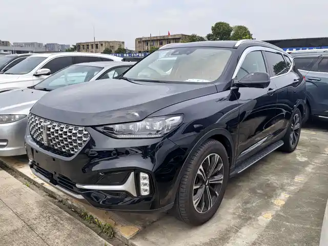 2021 Wey VV6