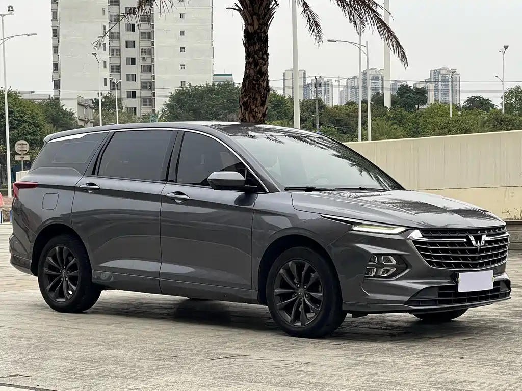 Wuling Victory — миниатюра 3