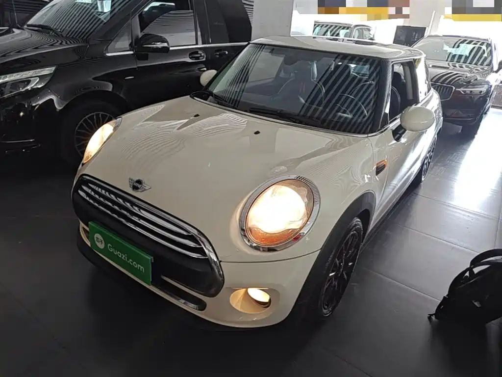 Mini Mini 2017
