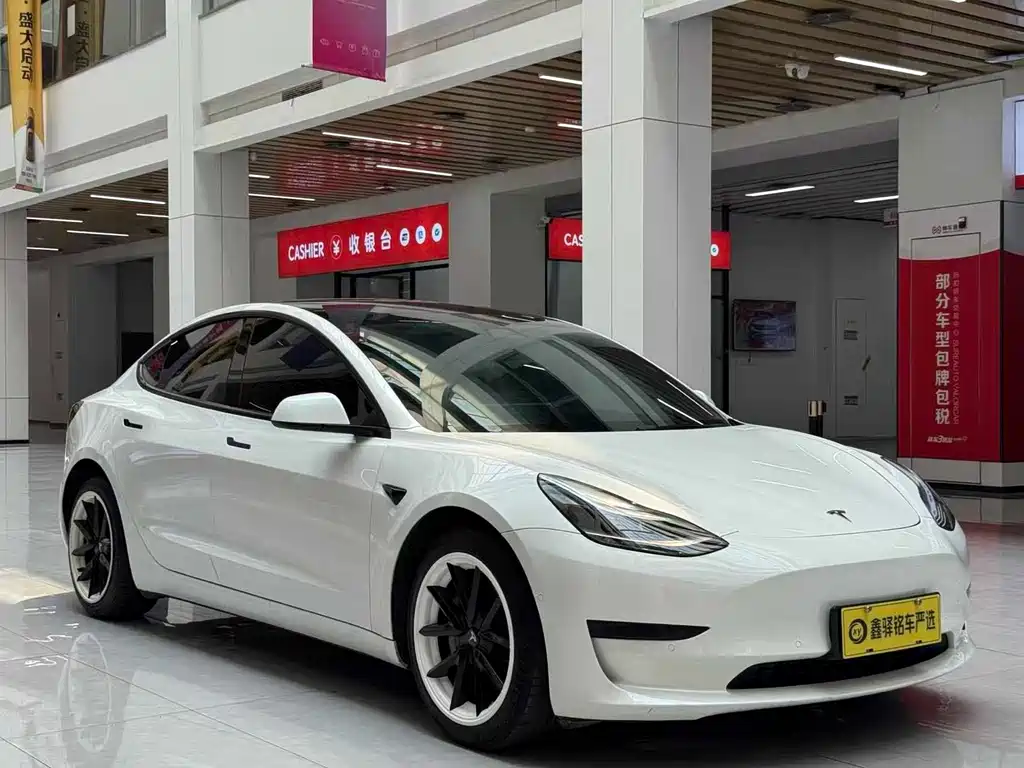 Tesla Model 3 2021 3D6