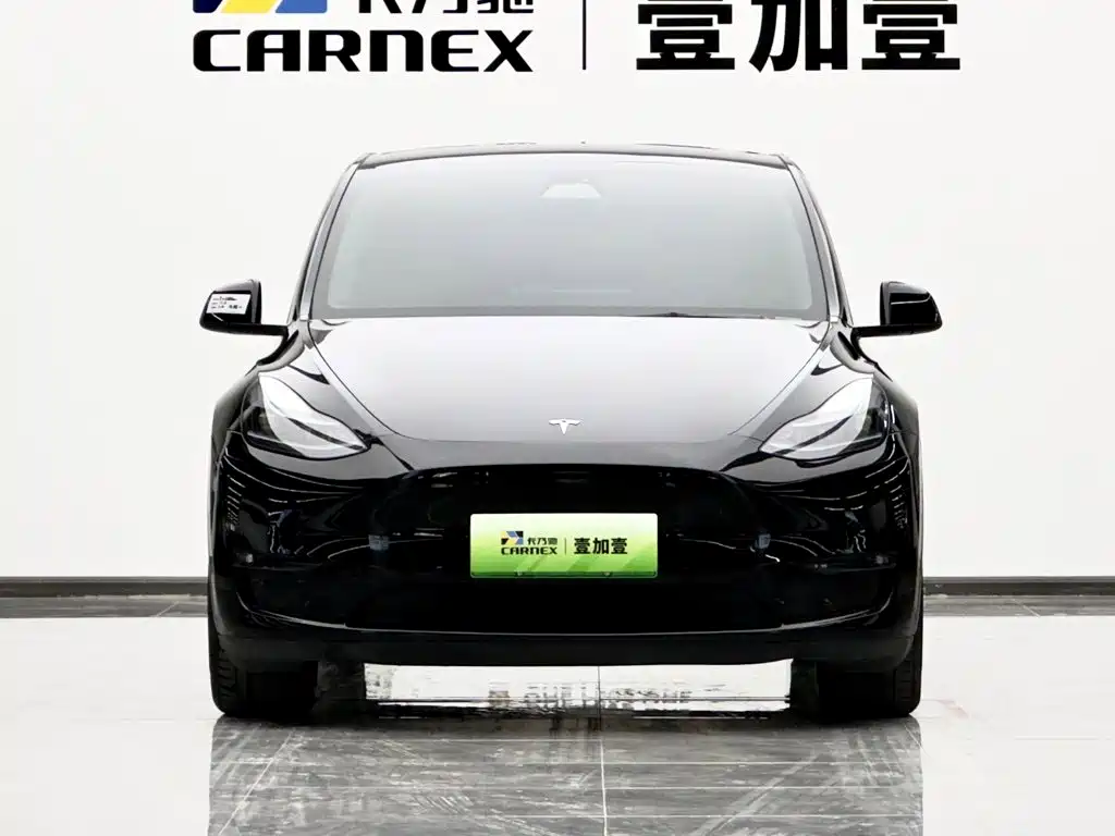 Tesla Model Y — миниатюра 2