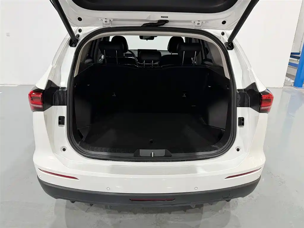 Haval H6 2024 2.0T Max