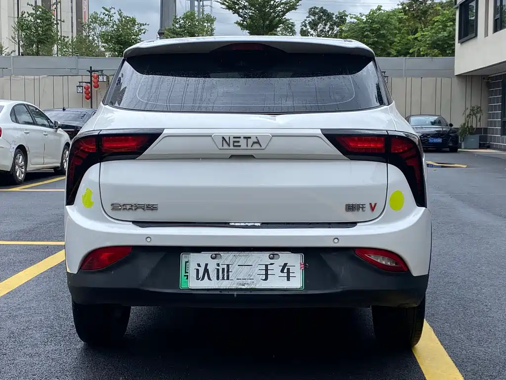 Neta V