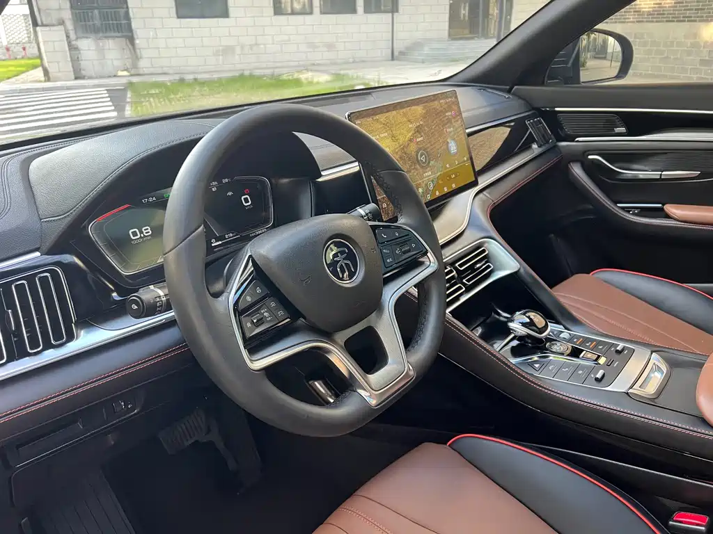 BYD PLUS — миниатюра 8