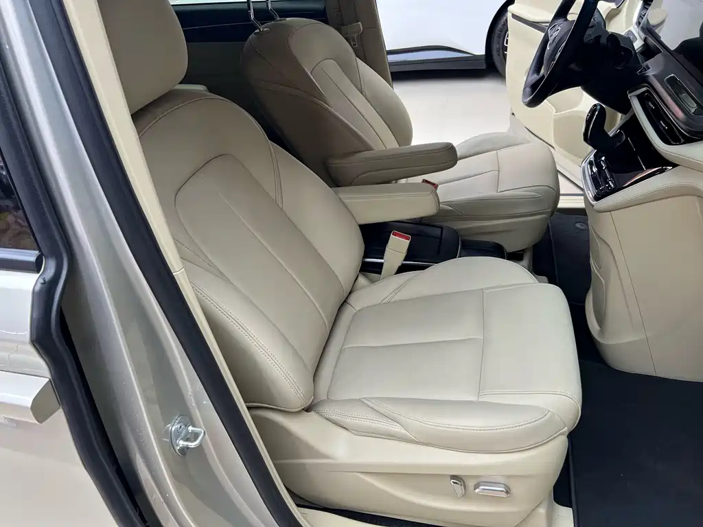 Buick GL8 — миниатюра 14