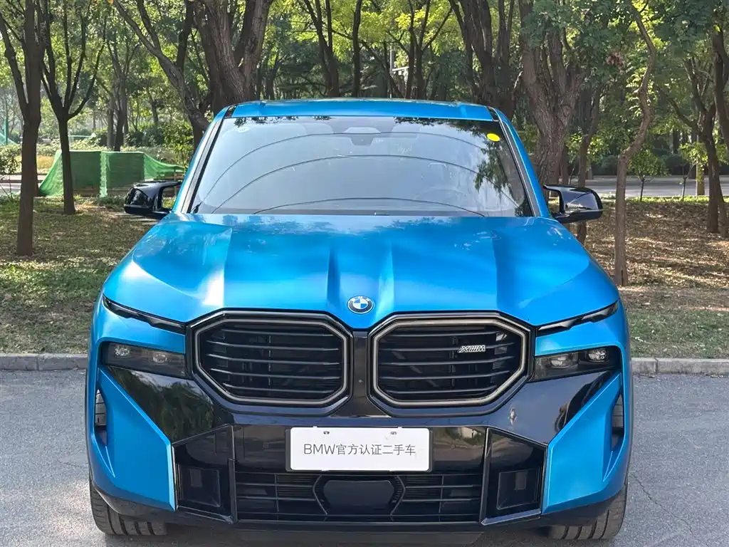 BMW XM — миниатюра 2
