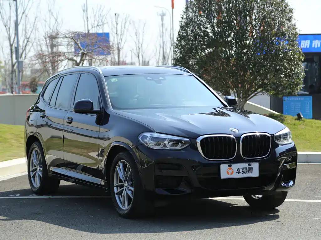 BMW X3 — миниатюра 3