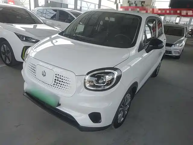 2021 Leapmotor T03