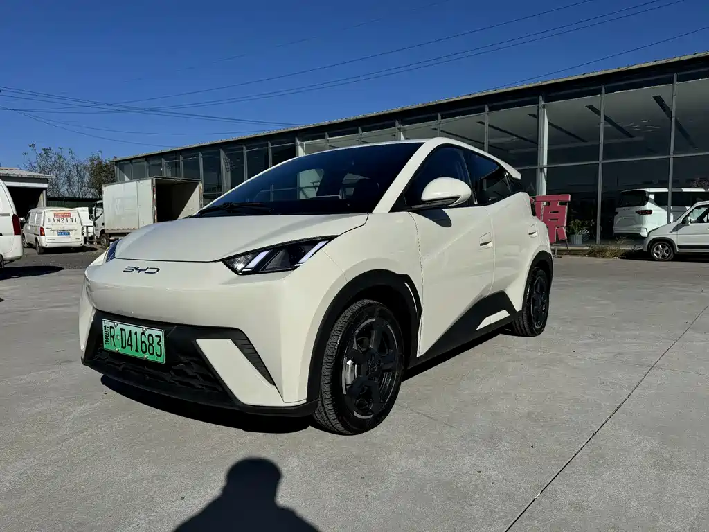 BYD Seagull