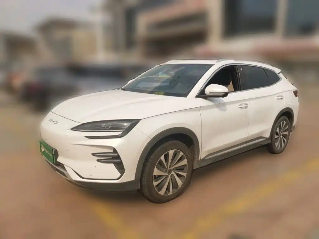 BYD PLUS New Energy — миниатюра 2