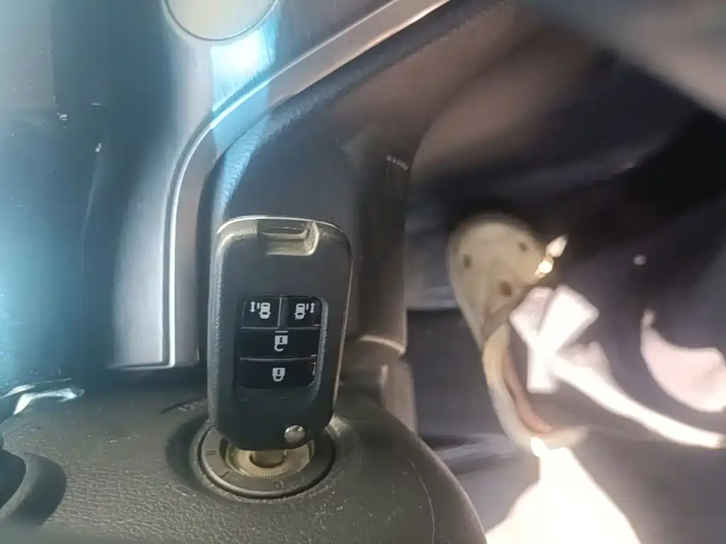 Honda Elysion — миниатюра 9