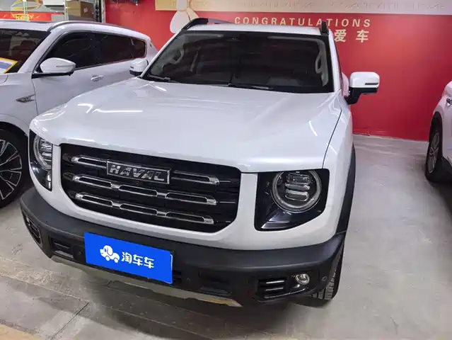 HAVAL BIG DOG