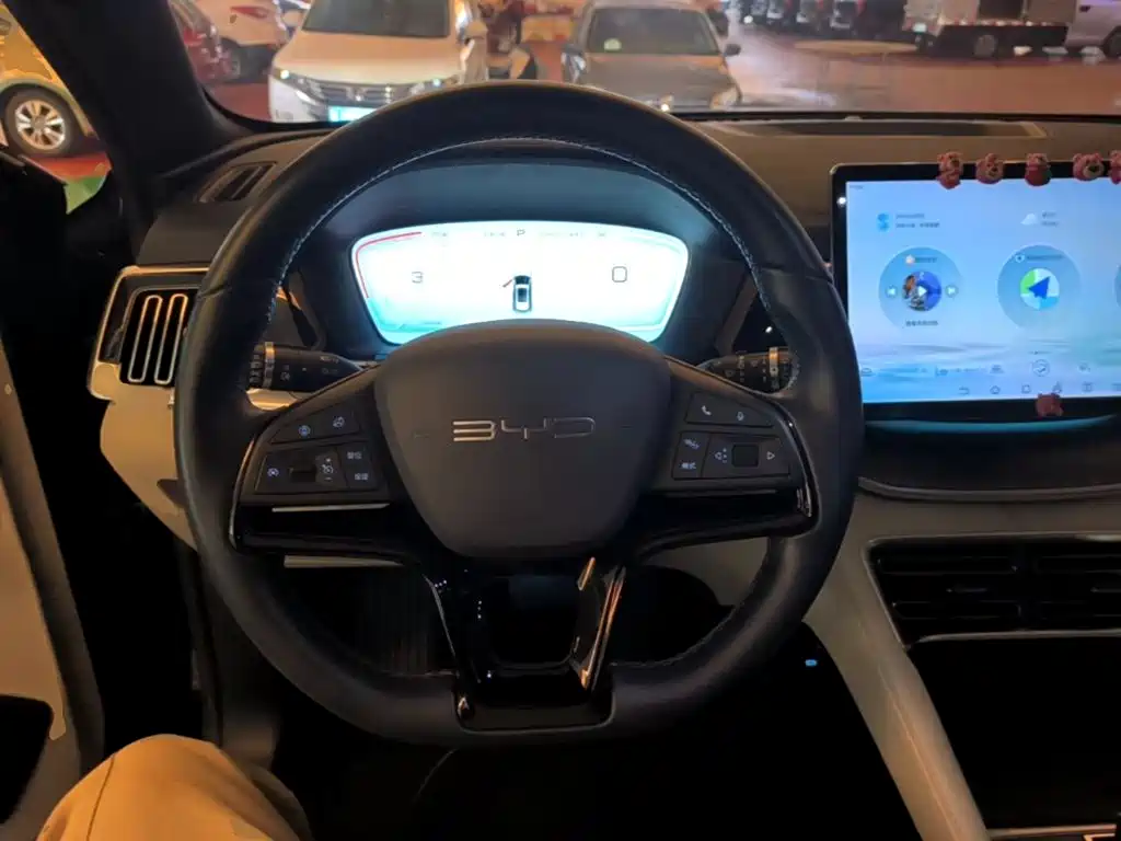 BYD PLUS New Energy — миниатюра 11