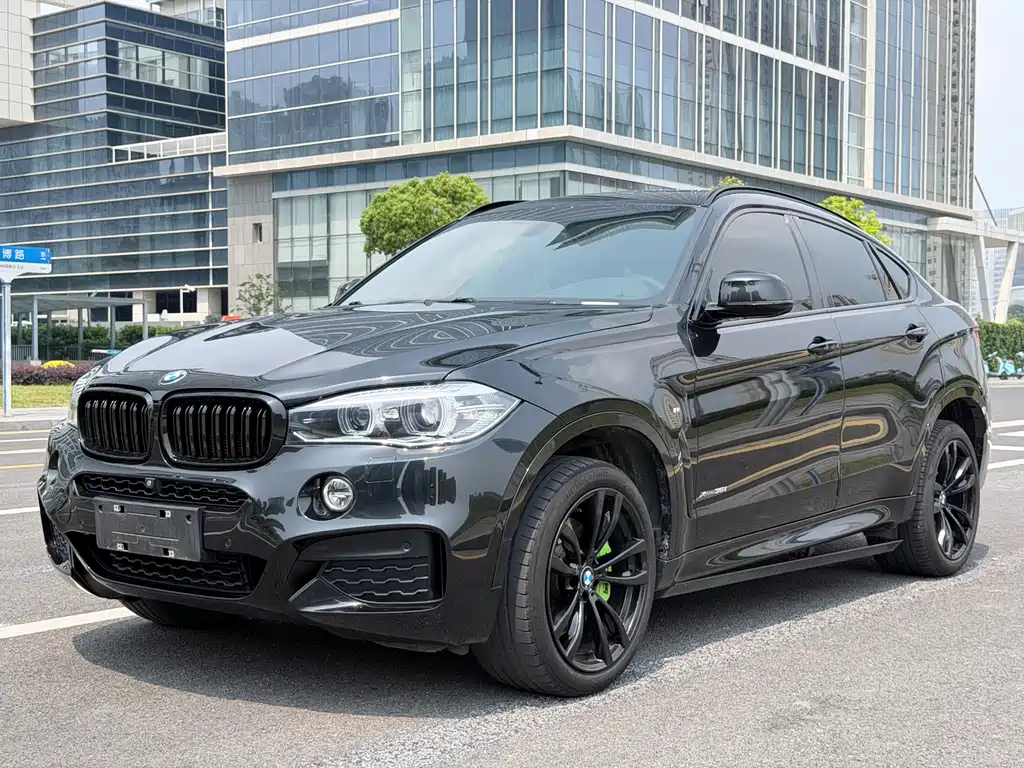 BMW X6 2019