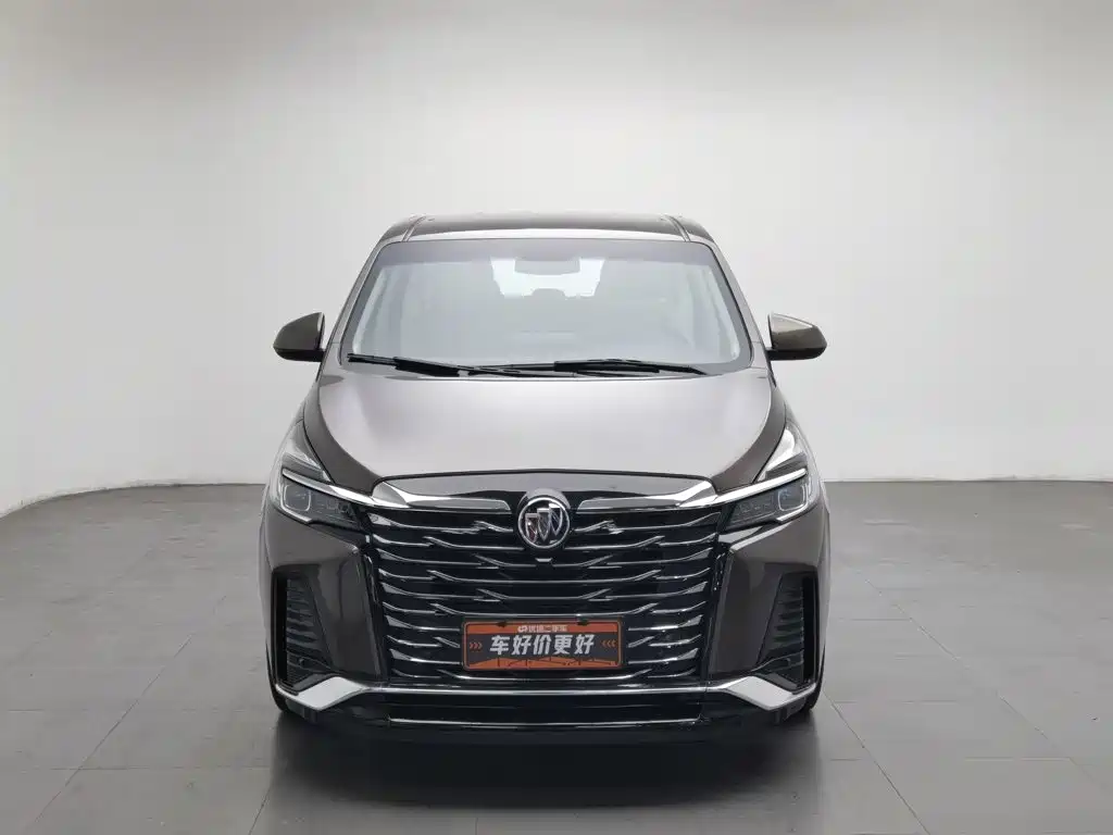 Buick GL8 — миниатюра 3
