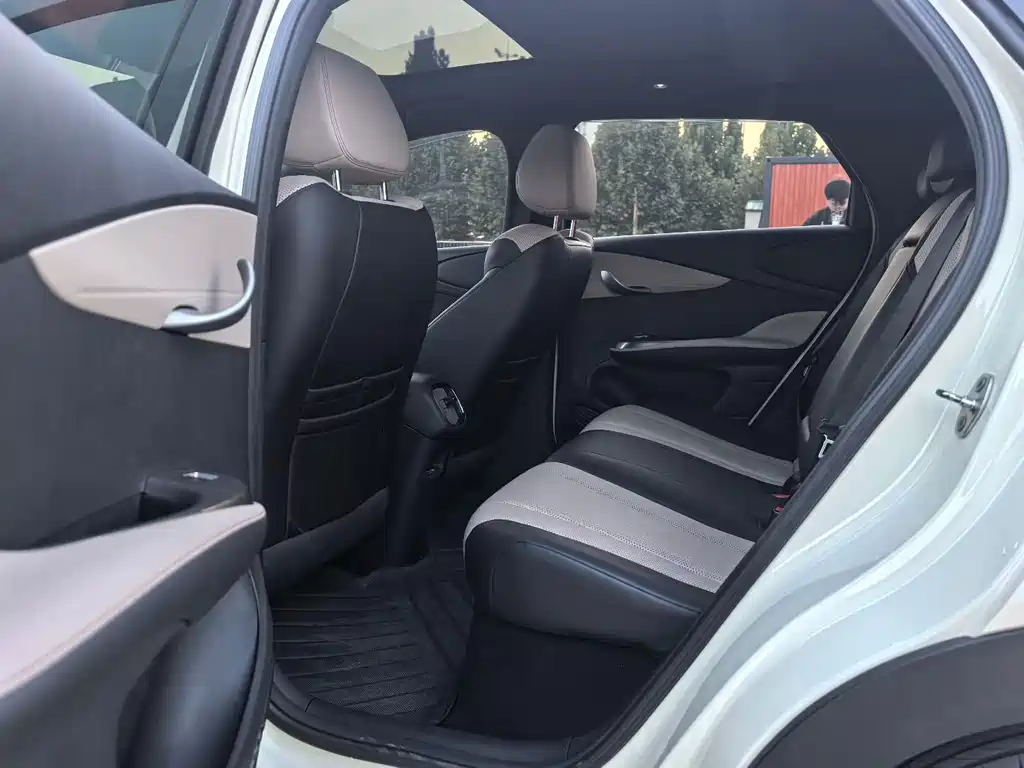BYD Dolphin — миниатюра 5
