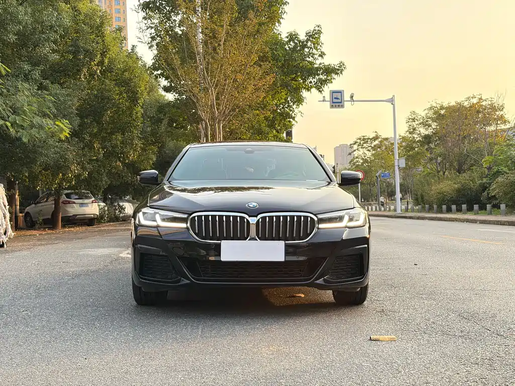 BMW 5 Series — миниатюра 2