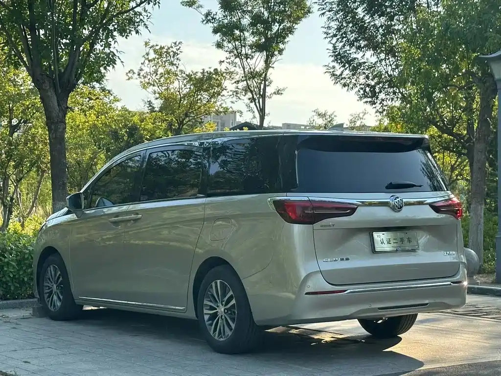 Buick GL8 — миниатюра 7