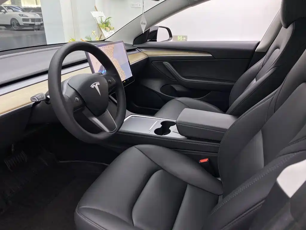 Tesla Model 3 — миниатюра 19
