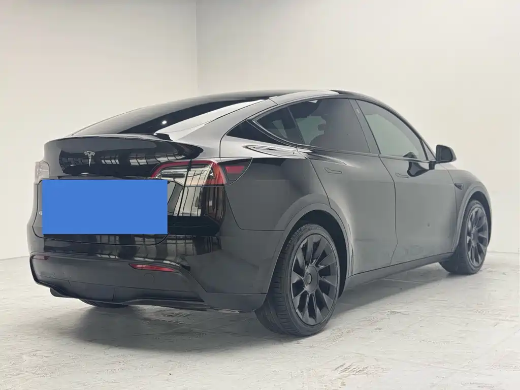 Tesla Model Y — миниатюра 10