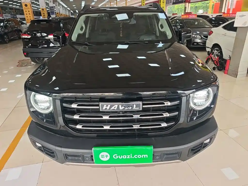 Haval Big Dog — миниатюра 3