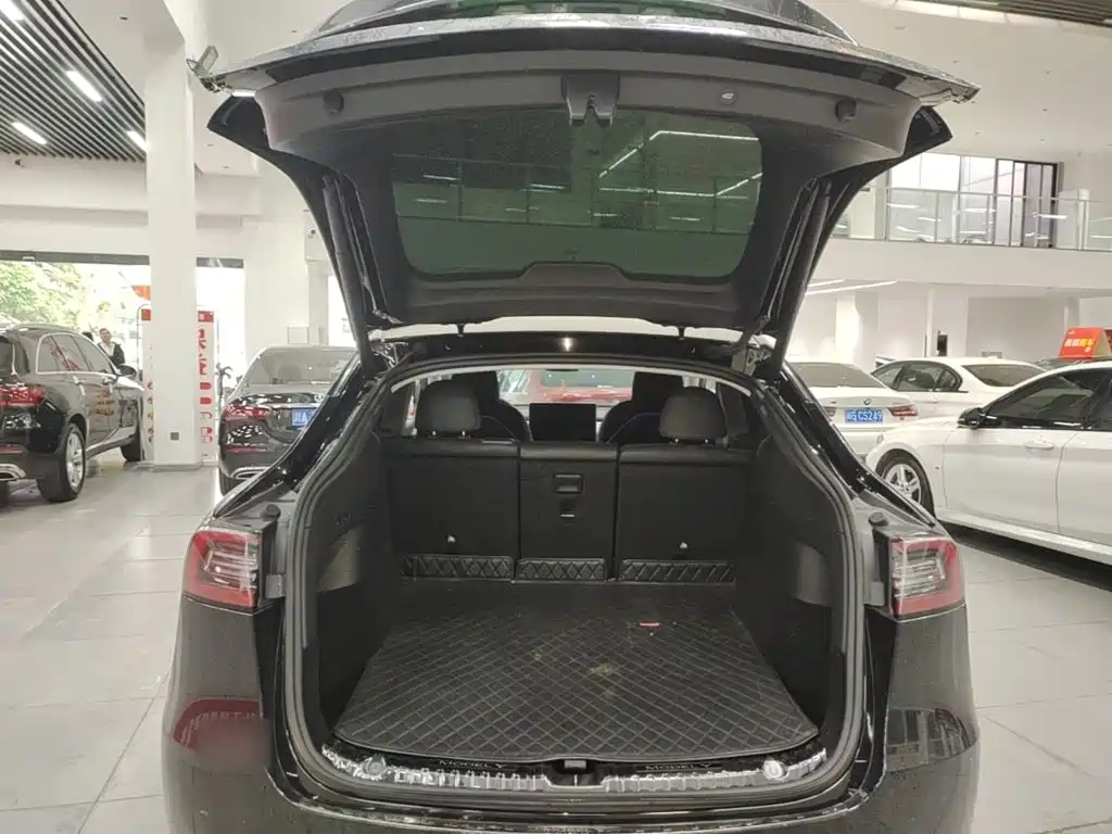 Tesla Model Y — миниатюра 19