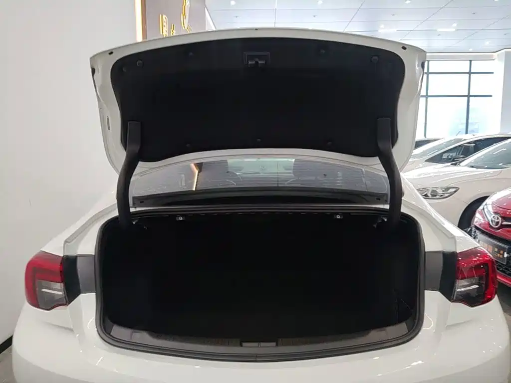 Buick Regal — миниатюра 19