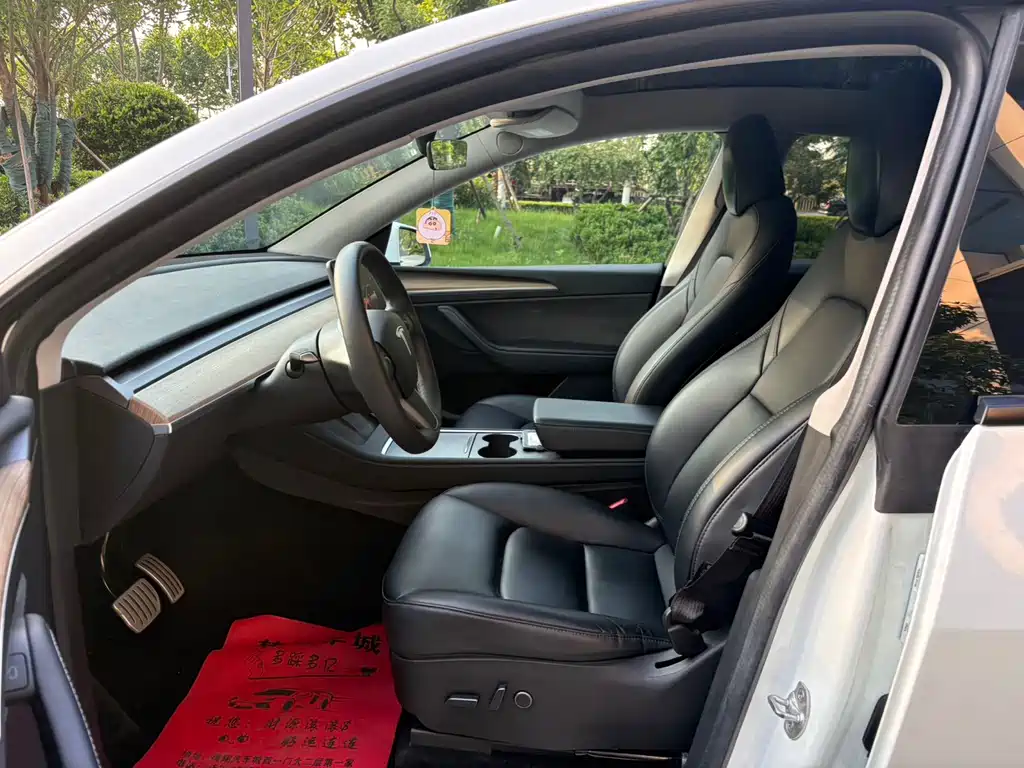 Tesla Model Y — миниатюра 9