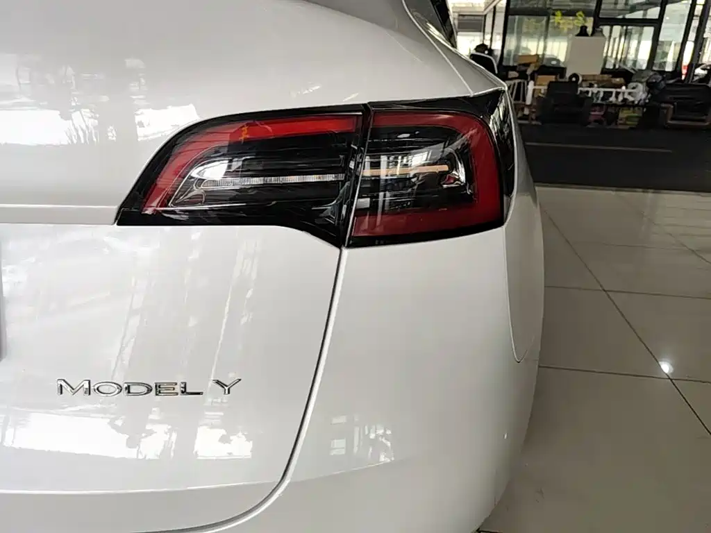 Tesla Model Y — миниатюра 8