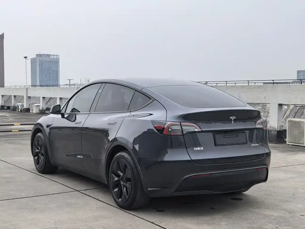 Tesla Model Y — миниатюра 6