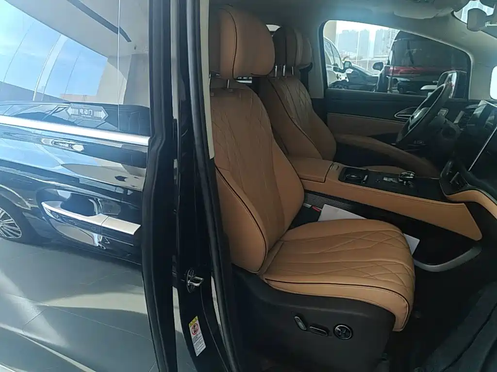 Denza Denza D9 — миниатюра 25