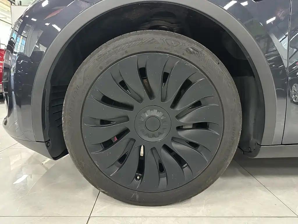 Tesla Model Y — миниатюра 29