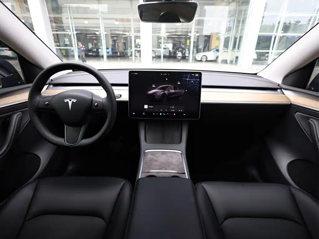 Tesla Model Y — миниатюра 10