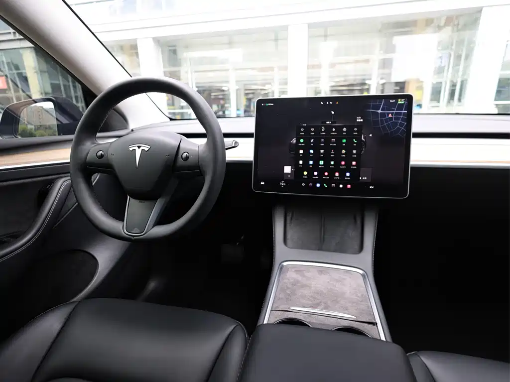 Tesla Model Y — миниатюра 19