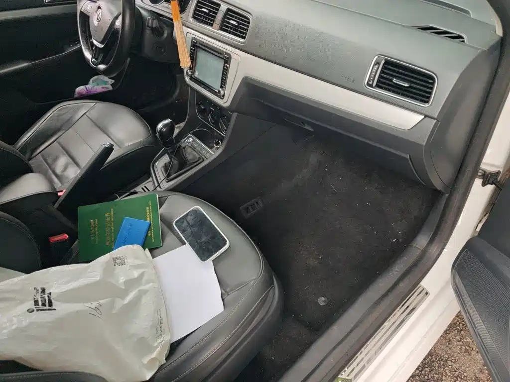 Volkswagen Gran Lavida — миниатюра 19
