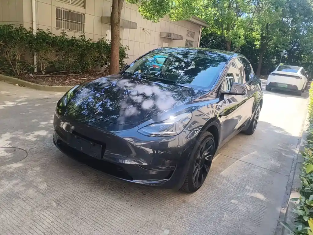 Tesla Model Y — миниатюра 2