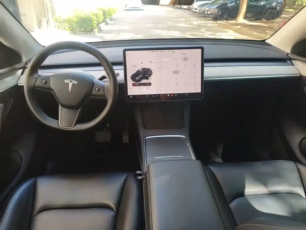 Tesla Model Y — миниатюра 10