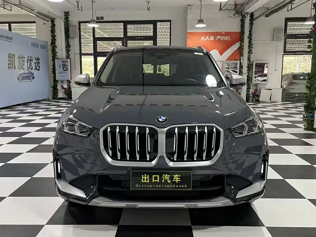 BMW X1 — миниатюра 2