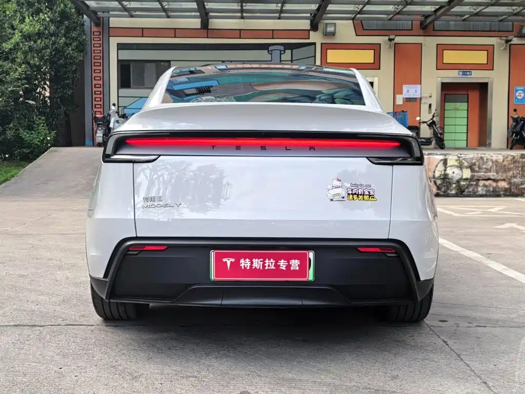 Tesla Model Y — миниатюра 18