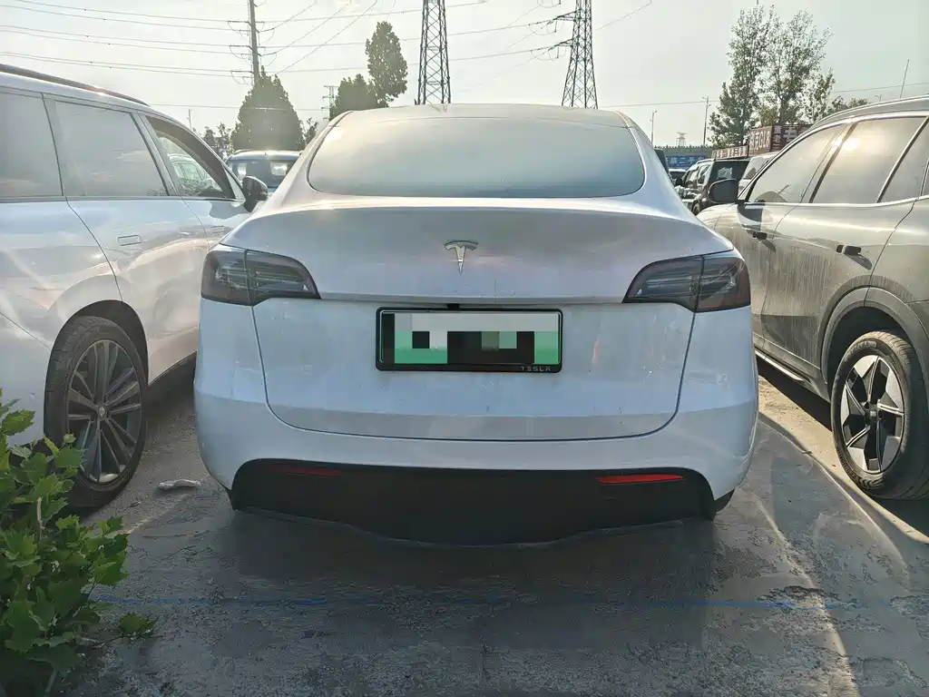 Tesla Model Y — миниатюра 8
