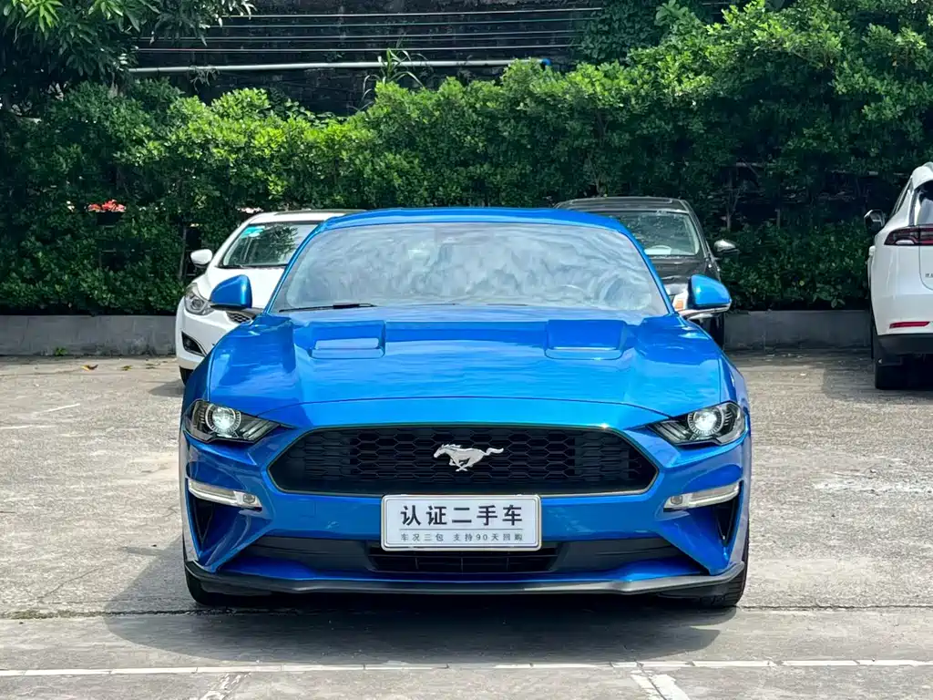 Ford Mustang — миниатюра 2