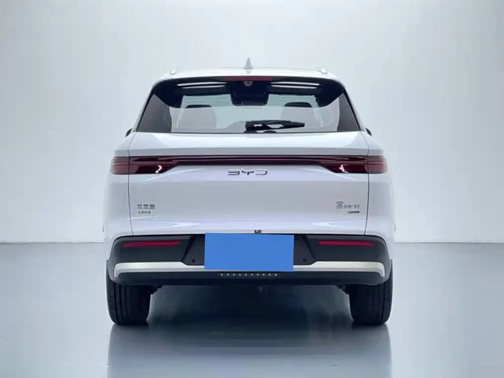 BYD Pro — миниатюра 5