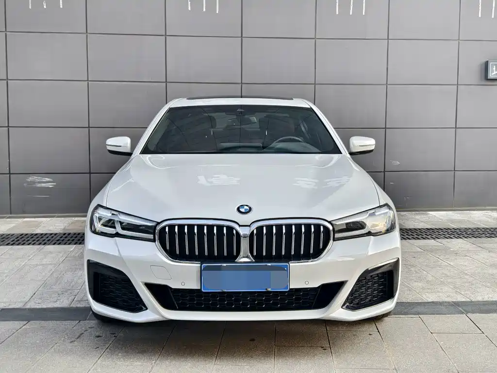 BMW 5 Series — миниатюра 2