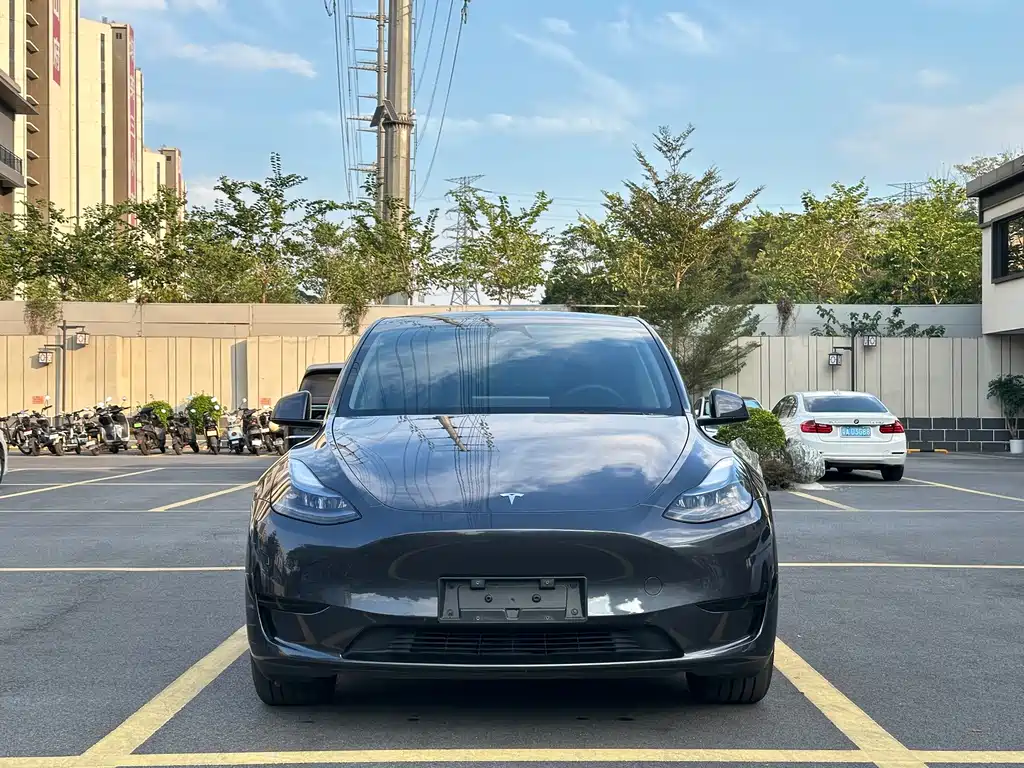 Tesla Model Y — миниатюра 2