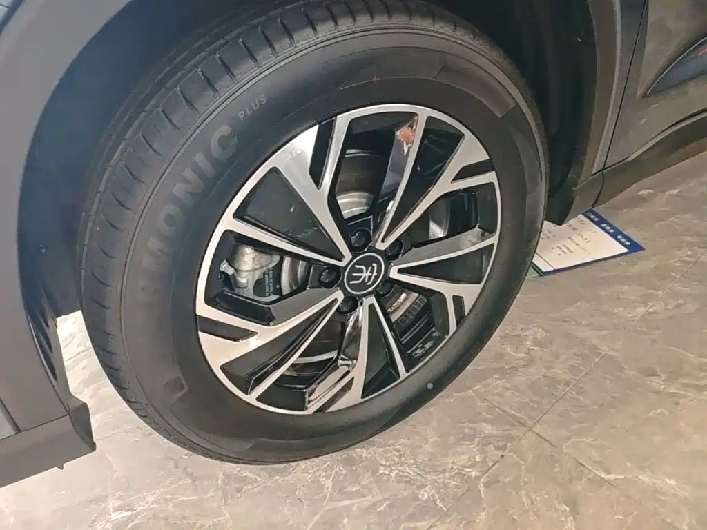 BYD Pro New Energy — миниатюра 23